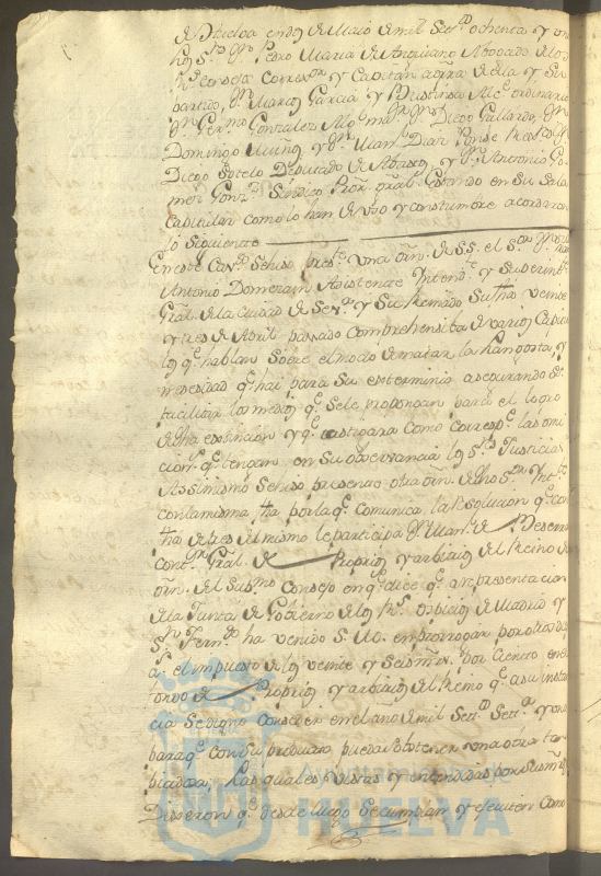 * Image 317