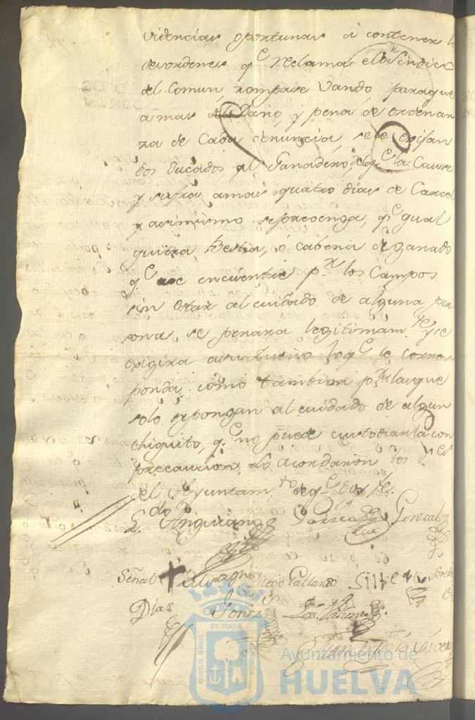 * Image 203