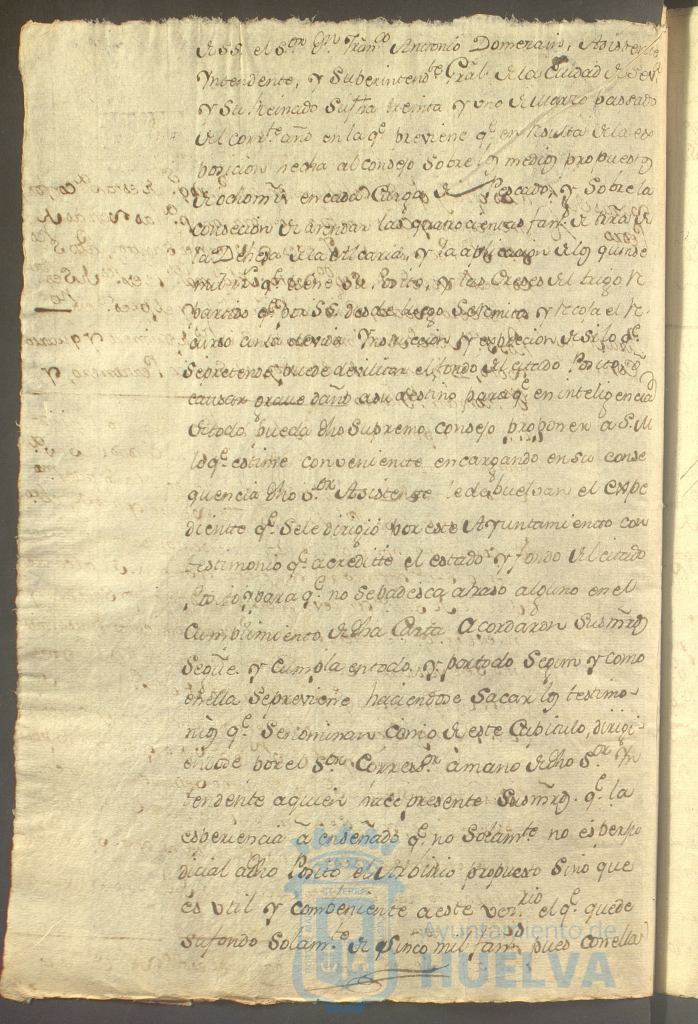 * Image 313