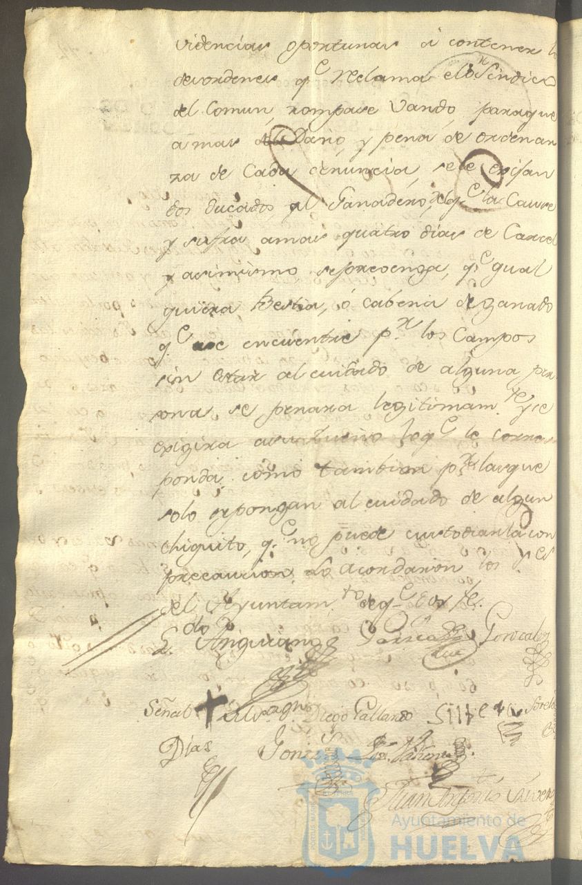 * Image 203