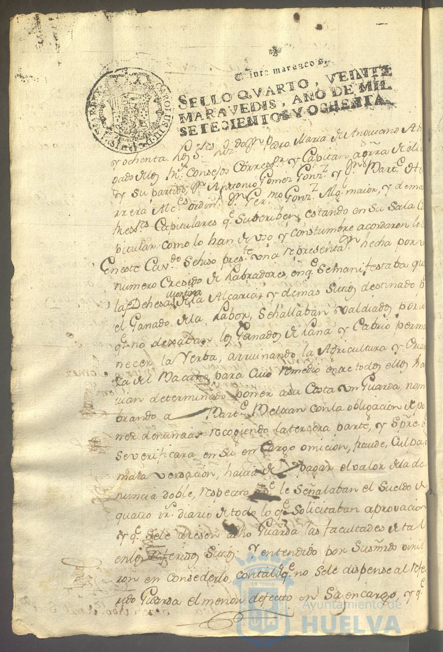 * Image 135