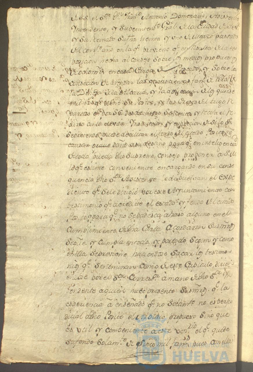 * Image 313