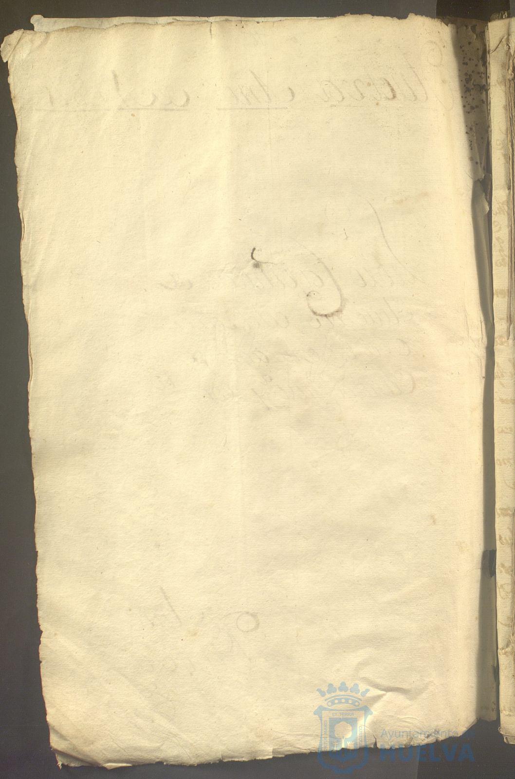 * Image 5