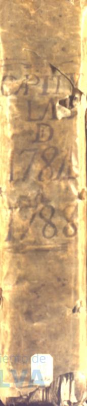 * Image 1