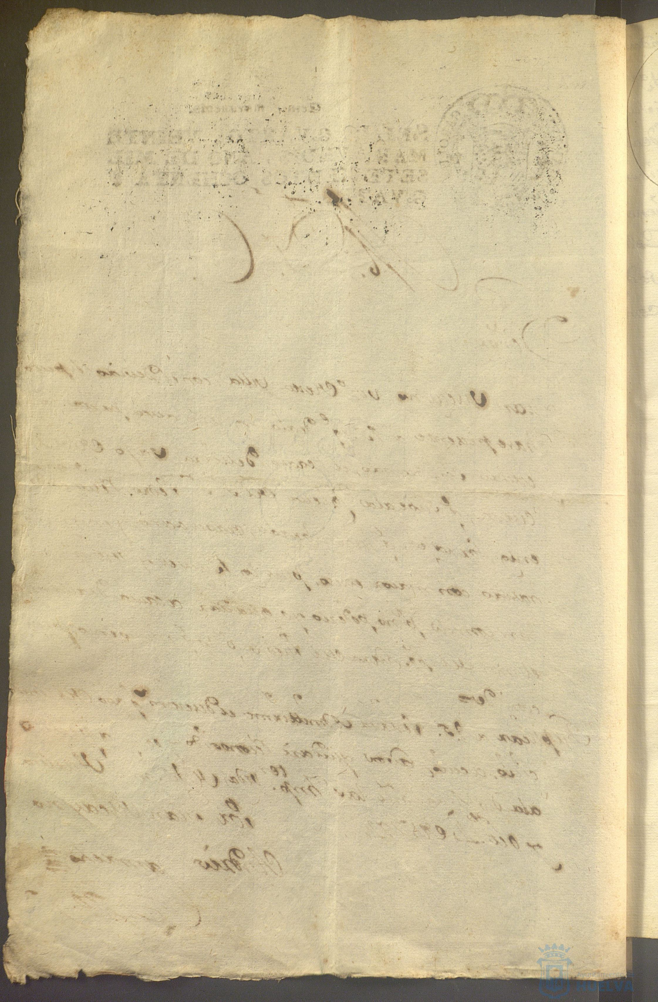 * Image 21