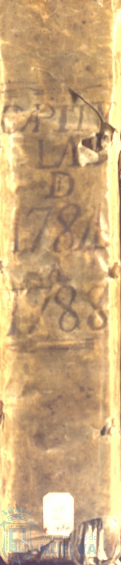 * Image 1
