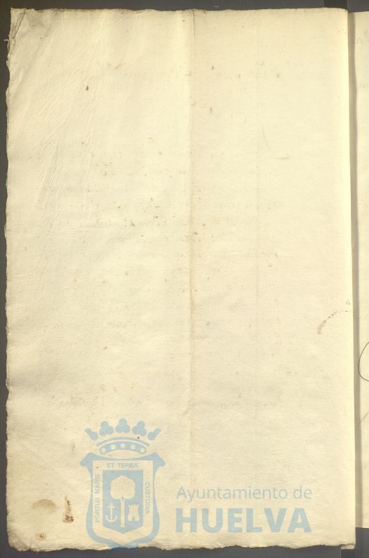 * Image 15