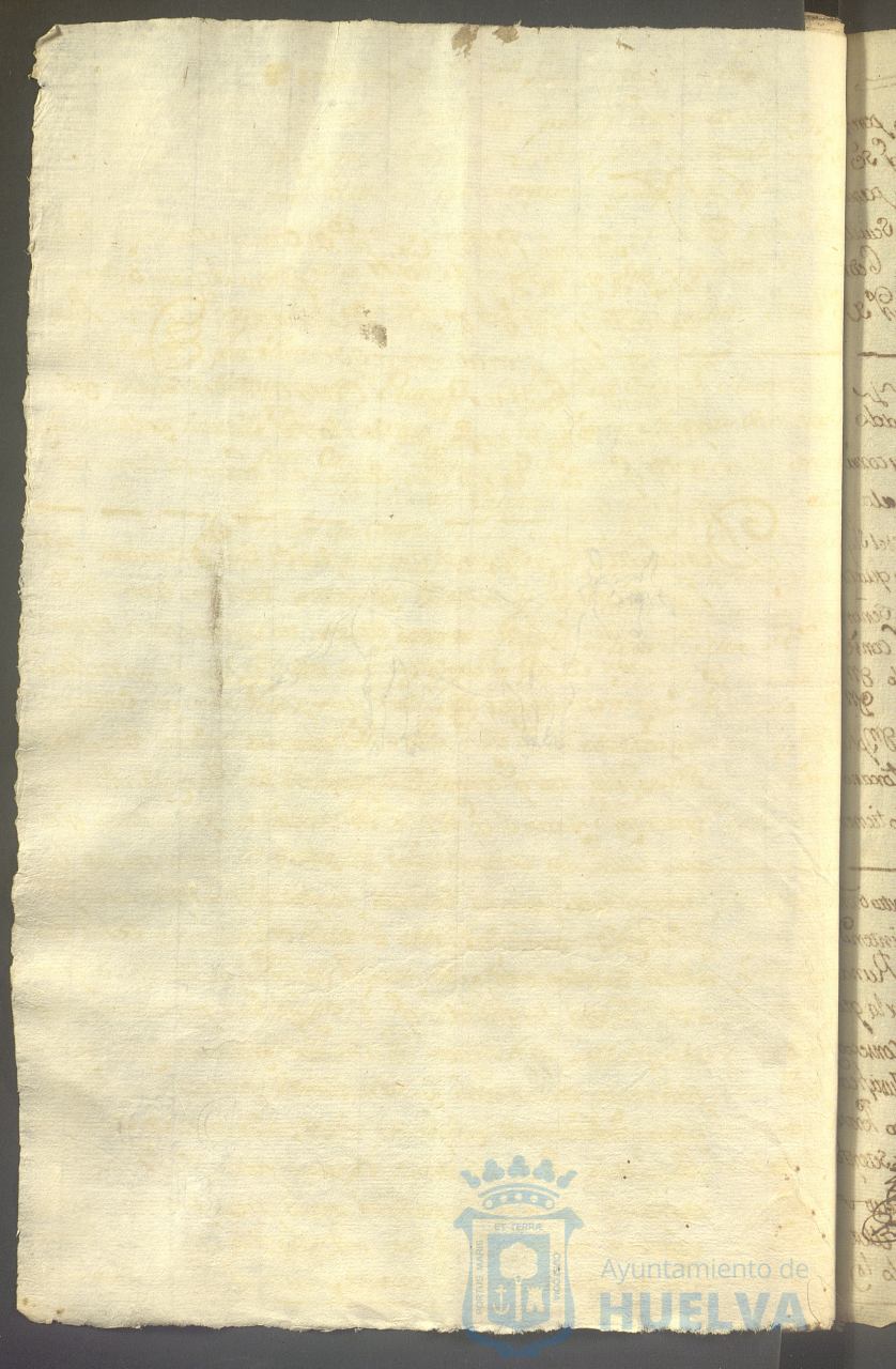 * Image 39