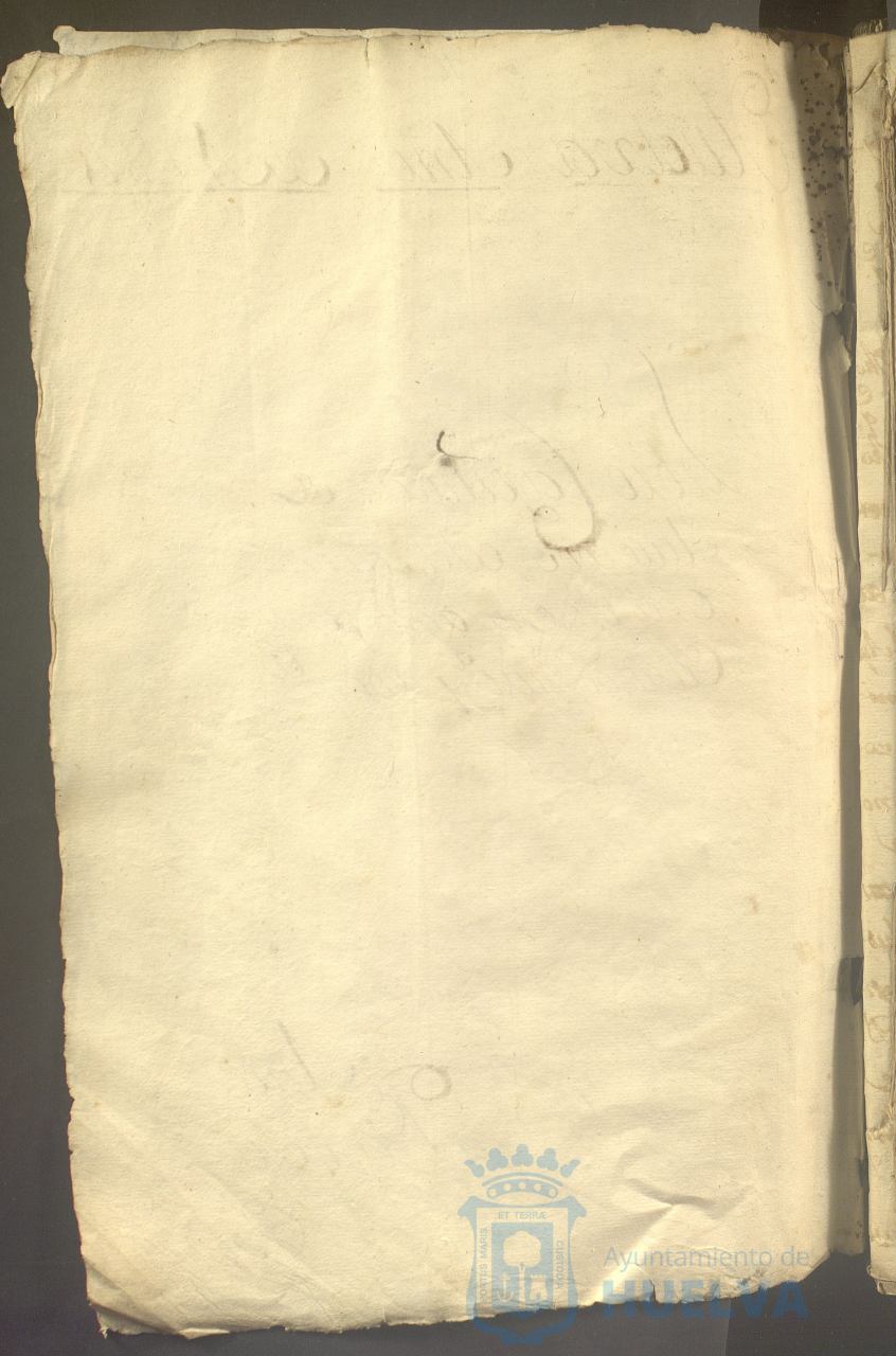 * Image 5