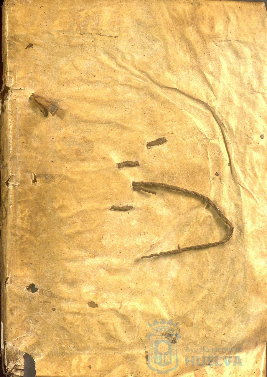 * Image 2