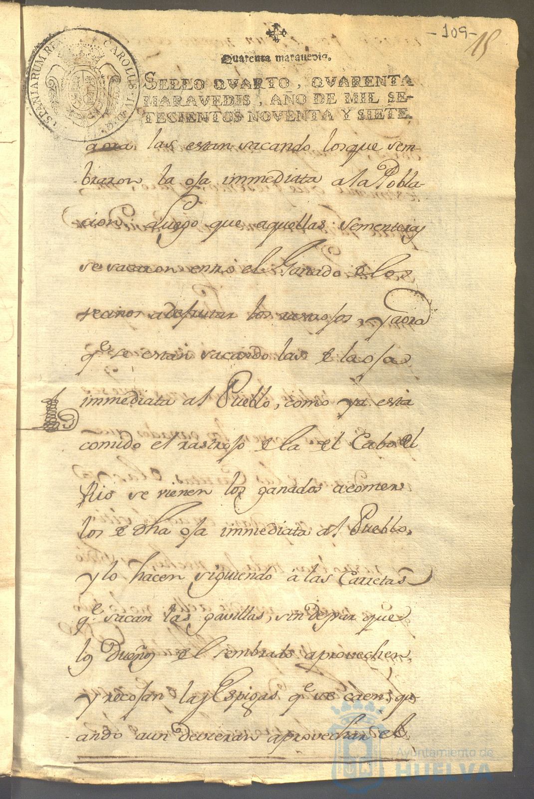 * Image 241