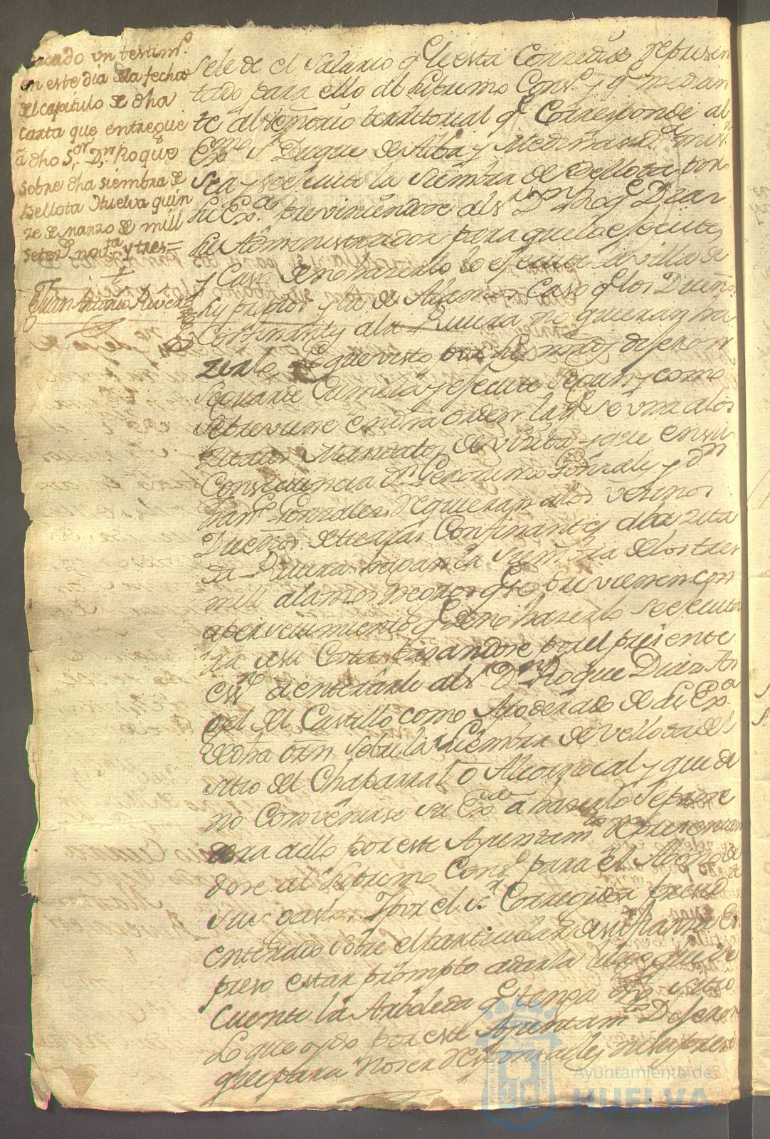 * Image 18