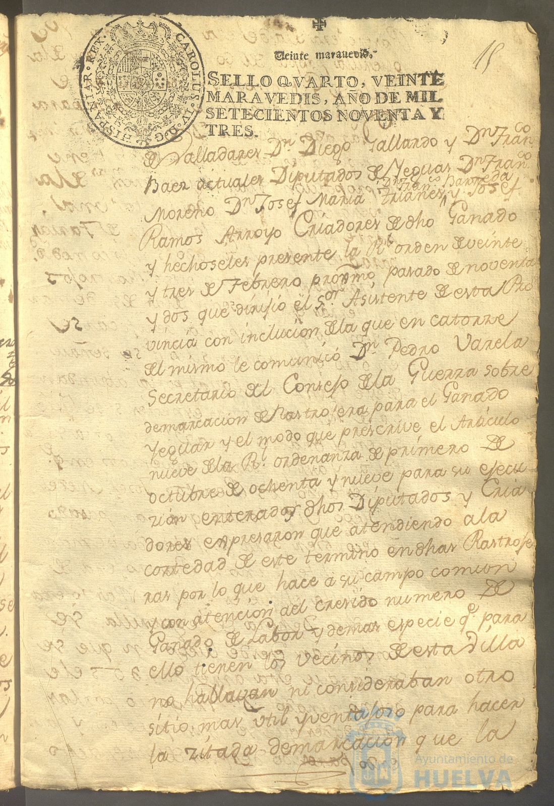 * Image 31