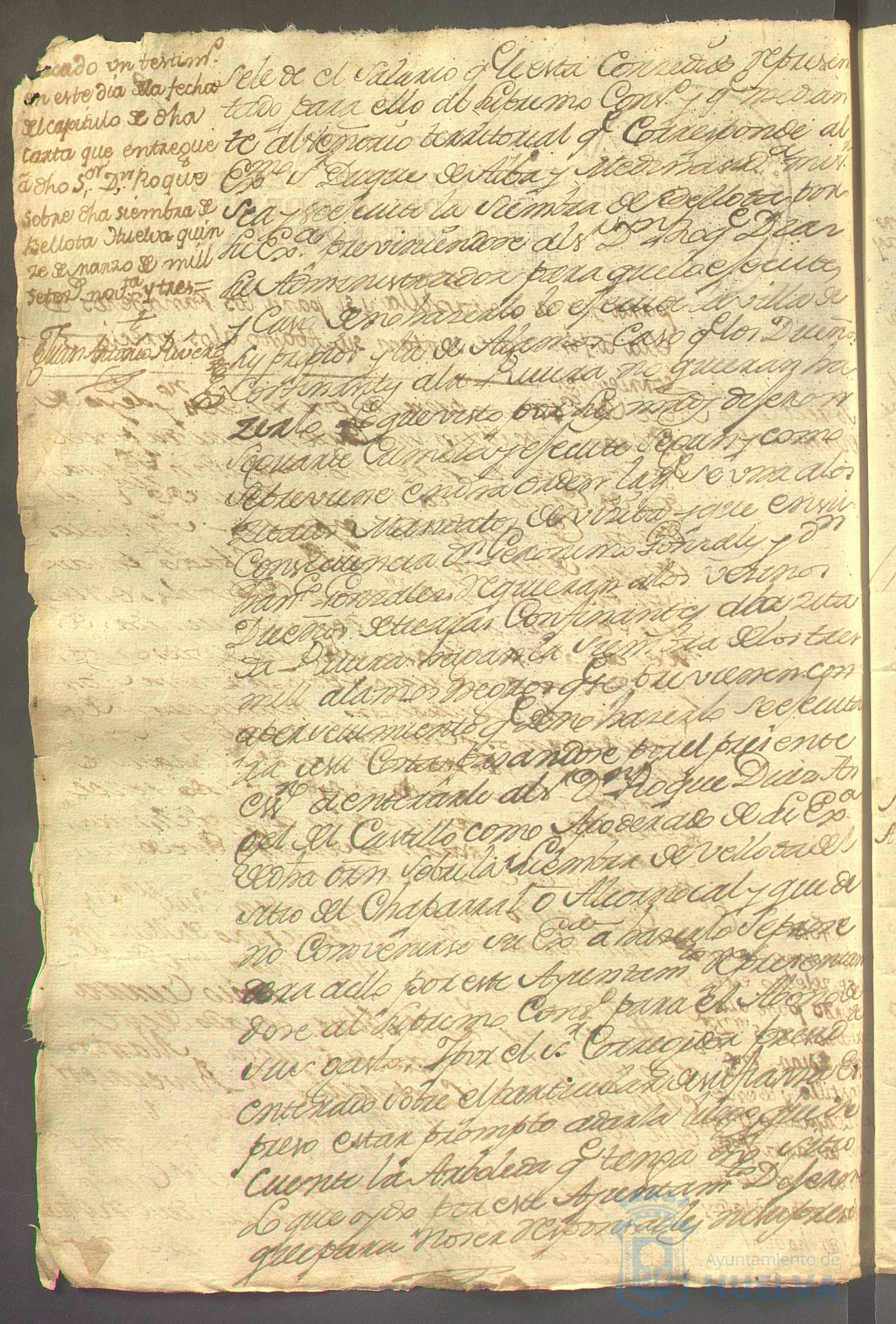 * Image 18