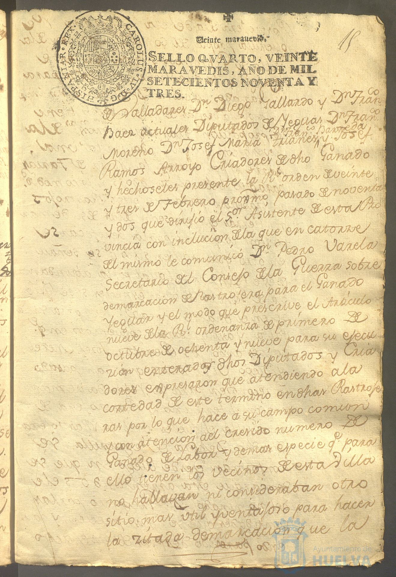 * Image 31