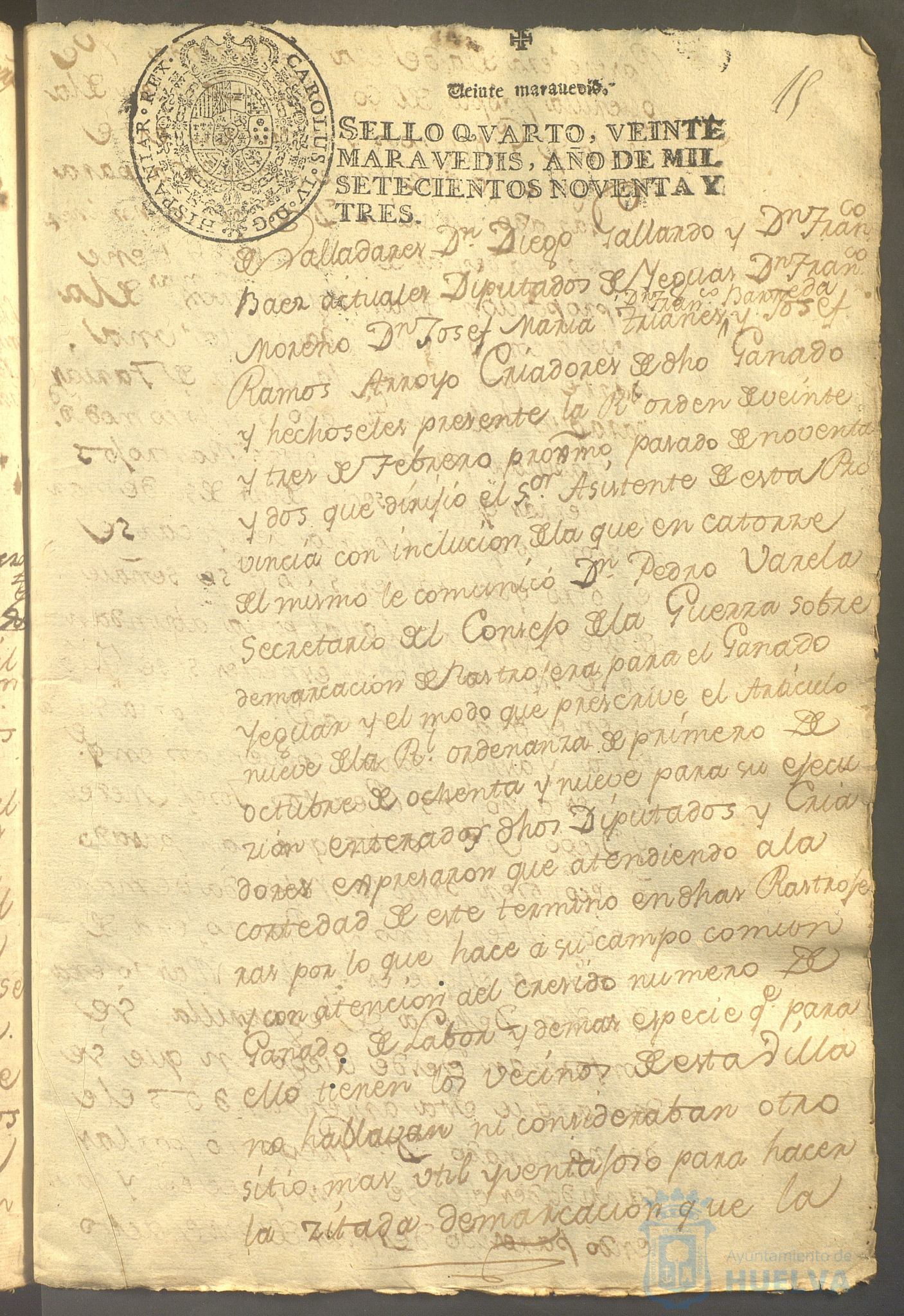 * Image 31