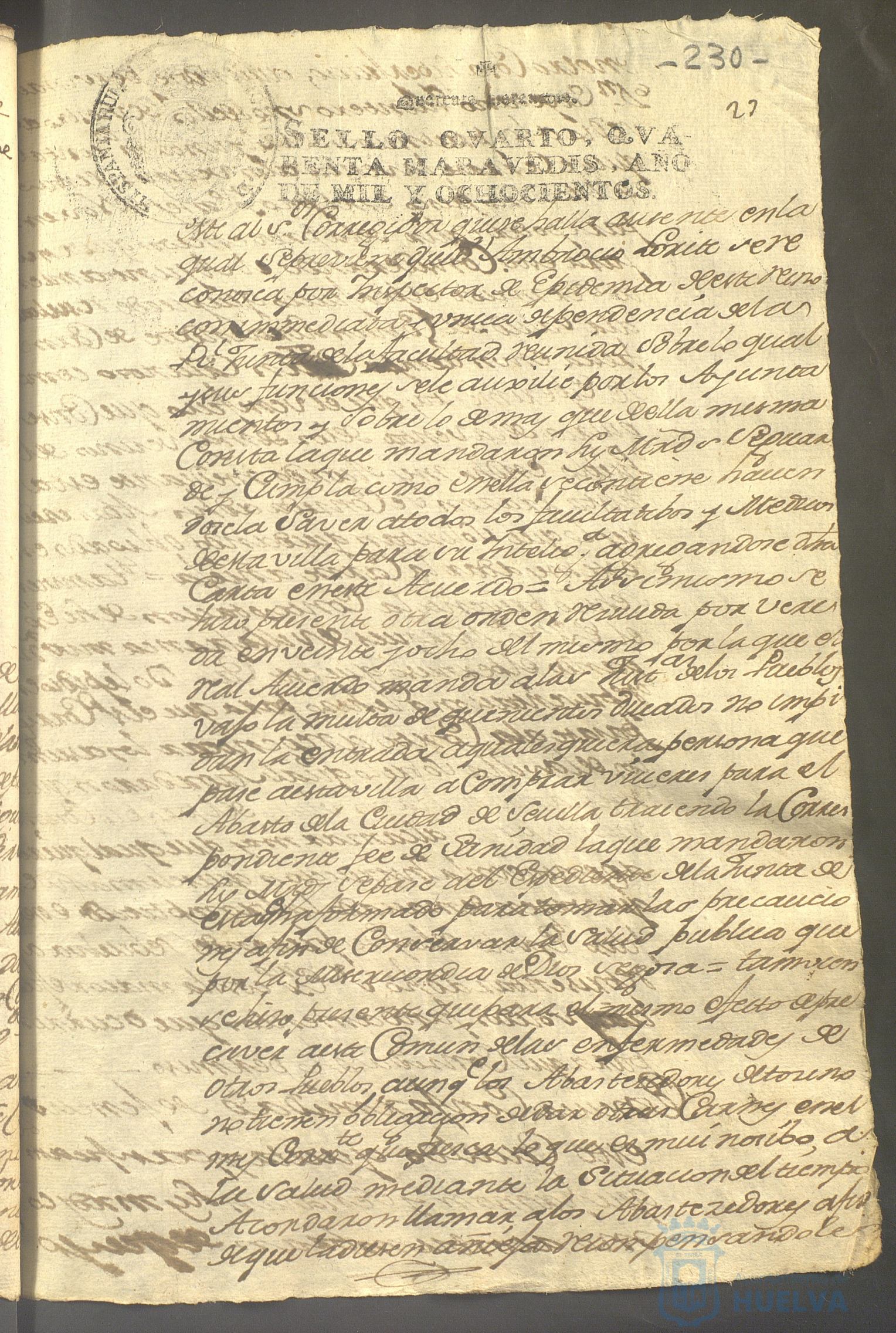 * Image 483