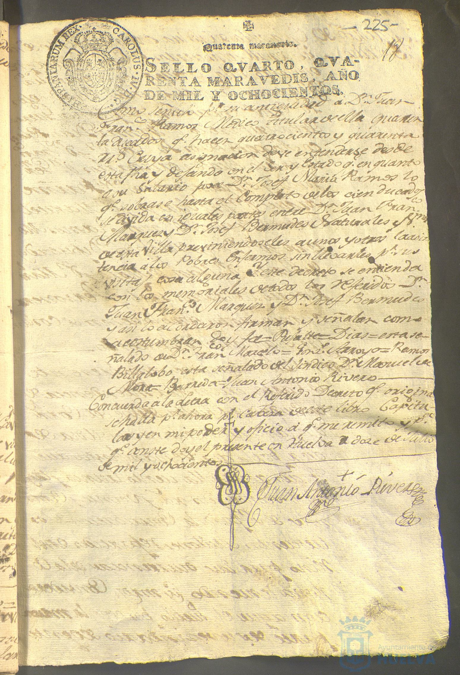 * Image 473