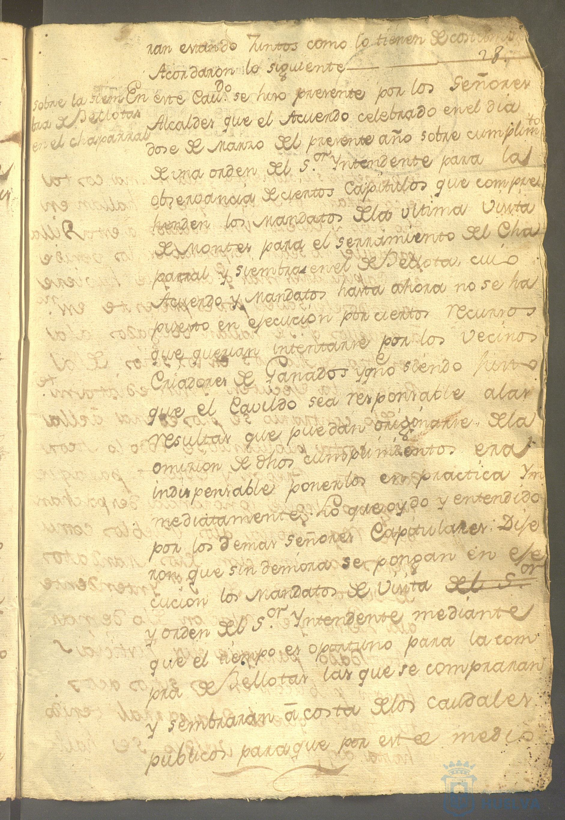 * Image 61