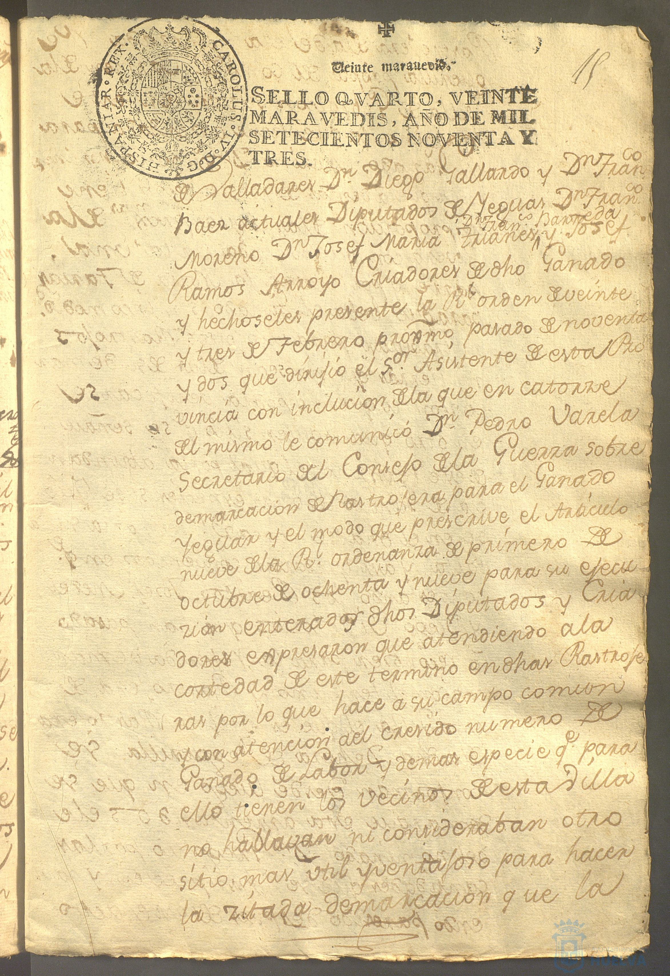 * Image 31