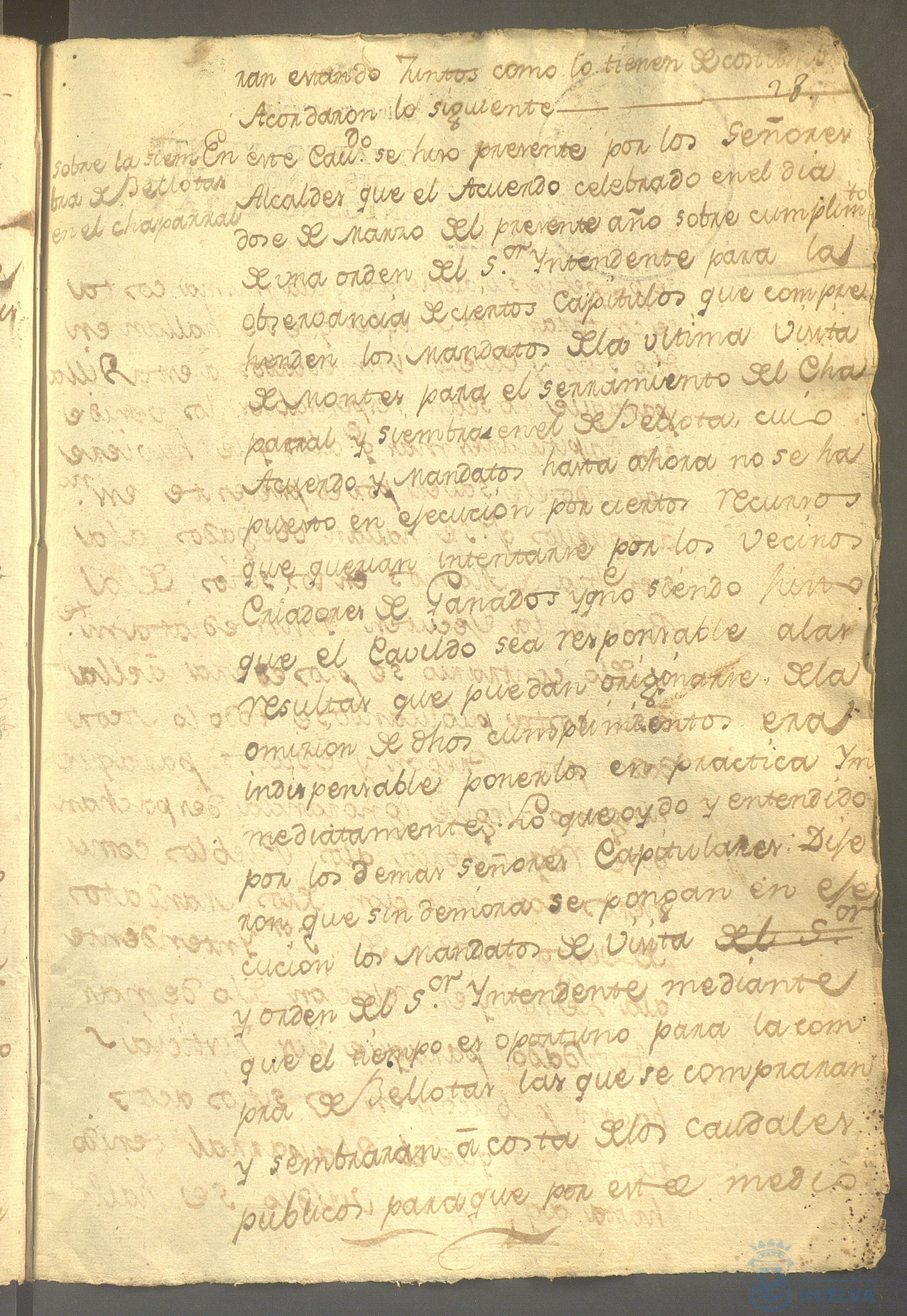 * Image 61