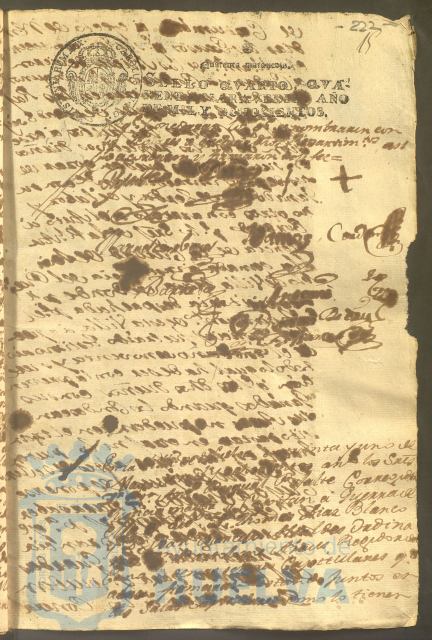 * Image 467