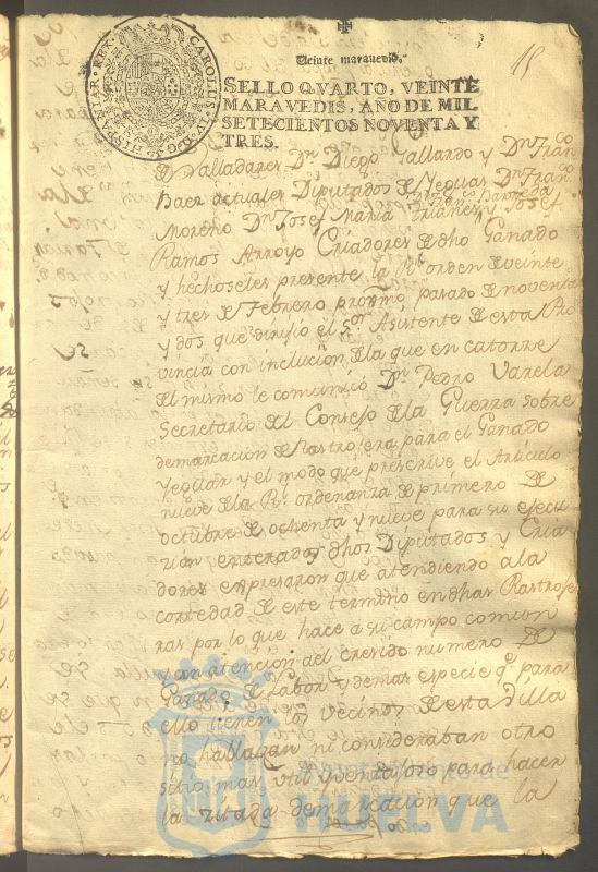 * Image 31