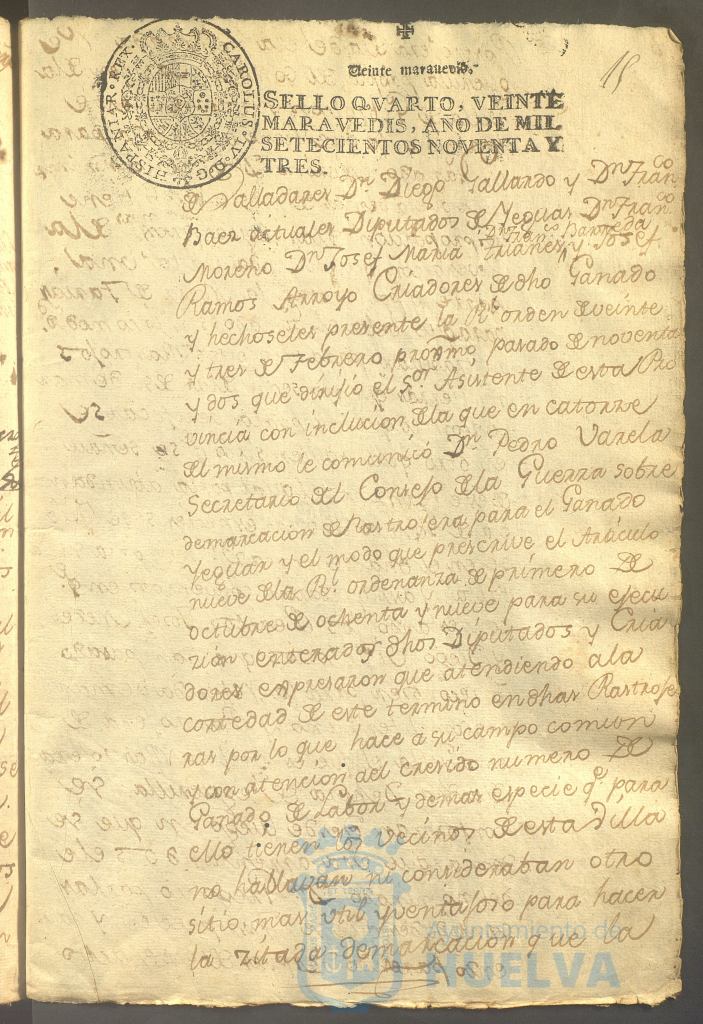 * Image 31