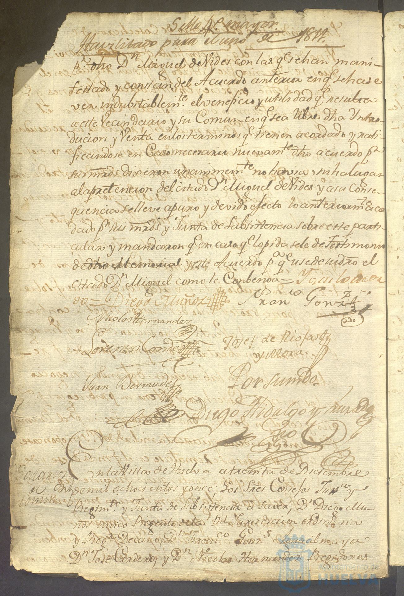 * Image 46