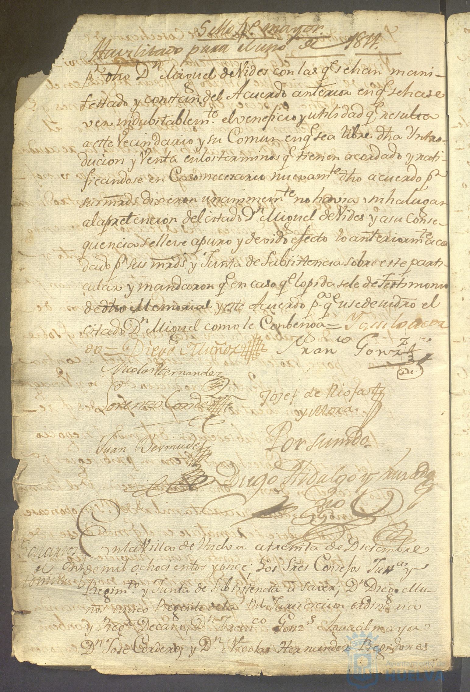 * Image 46