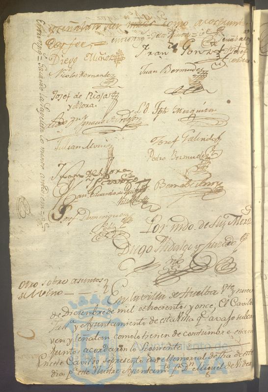 * Image 42