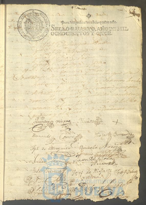 * Image 7