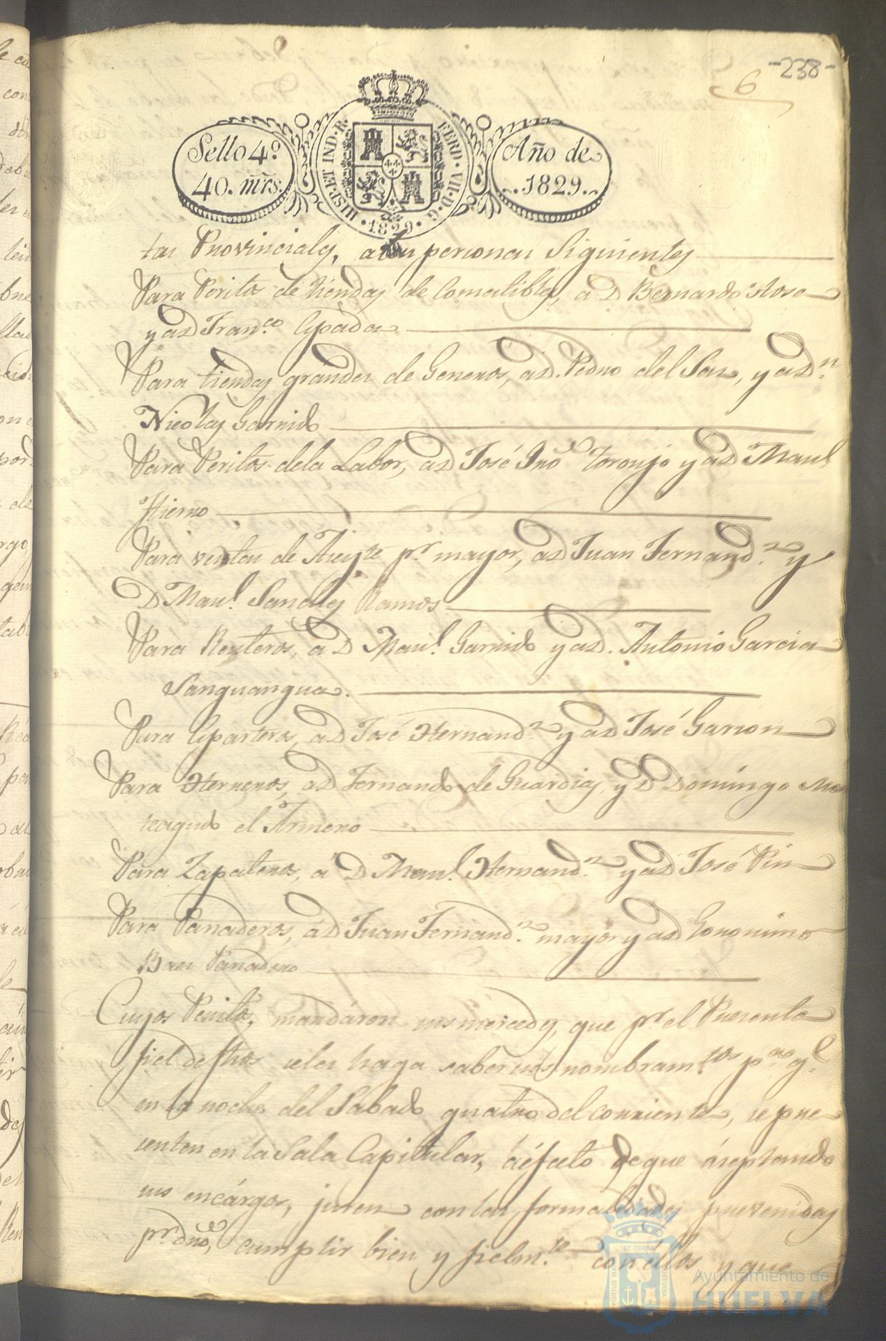 * Image 313