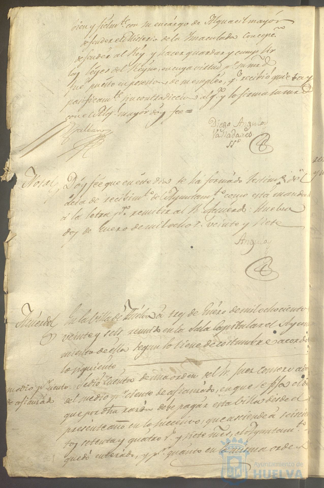 * Image 19