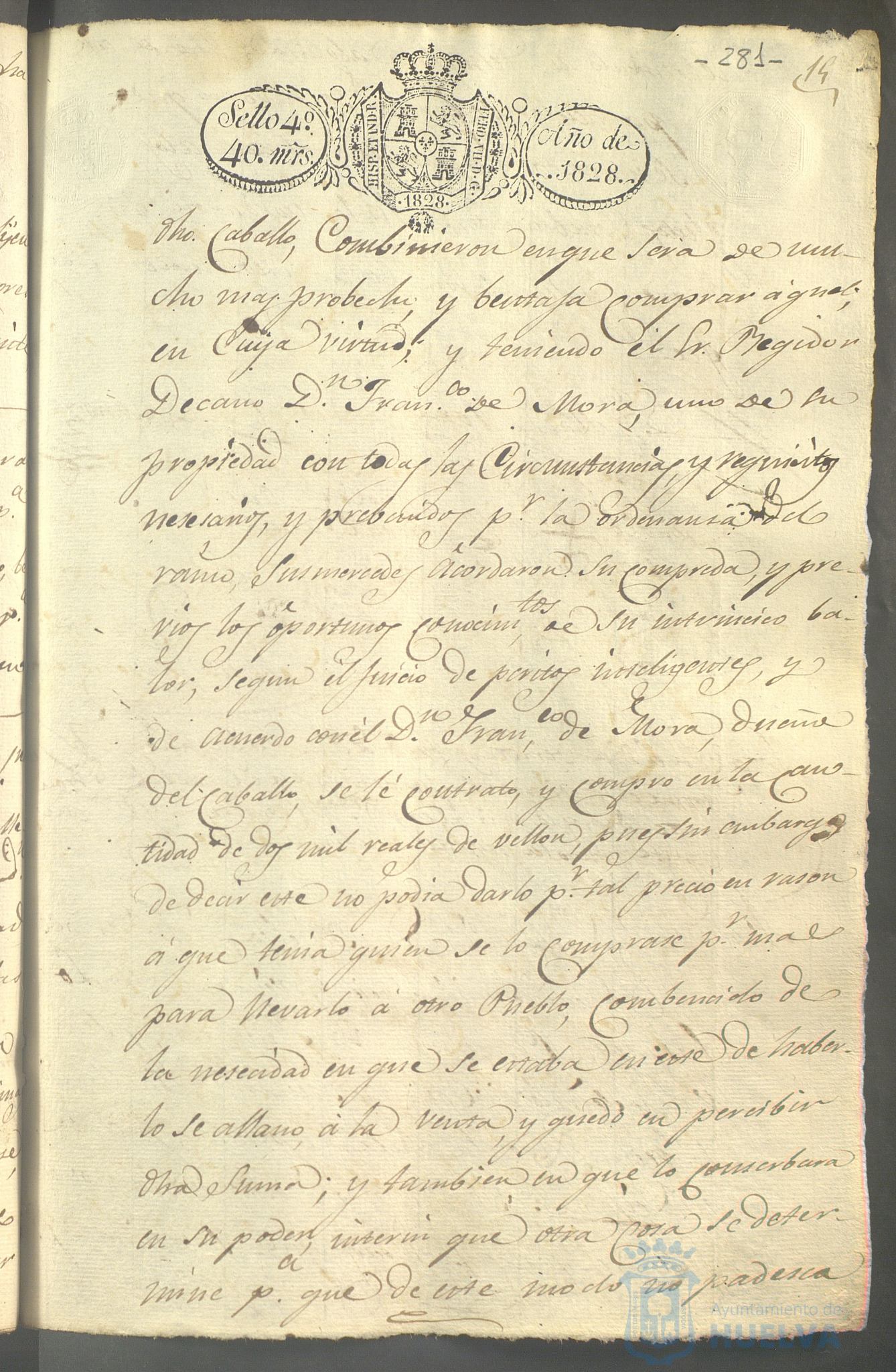 * Image 196
