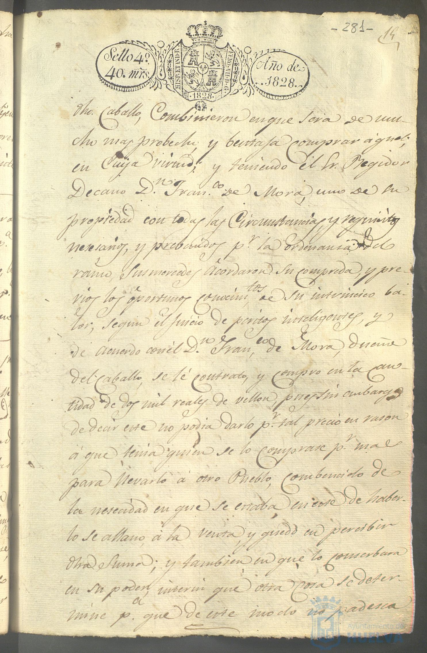 * Image 196