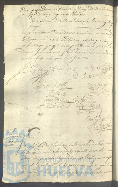 * Image 316