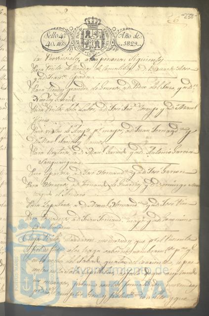 * Image 313