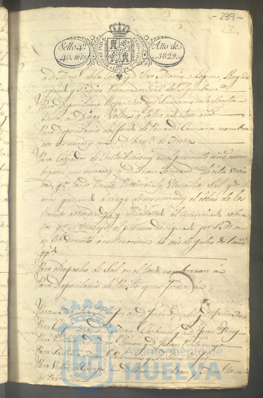 * Image 315