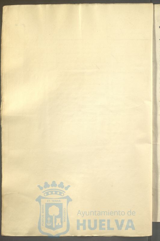* Image 7