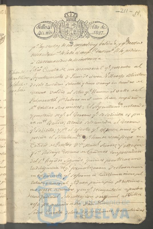 * Image 42