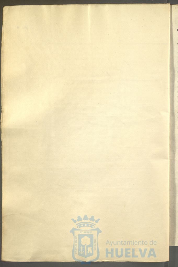 * Image 7