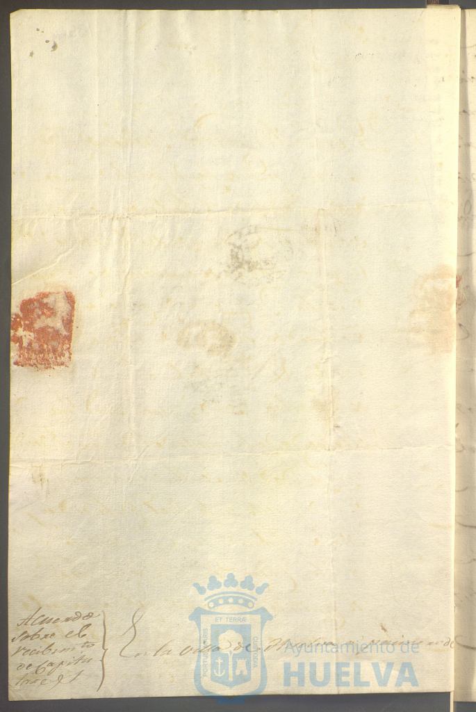 * Image 11