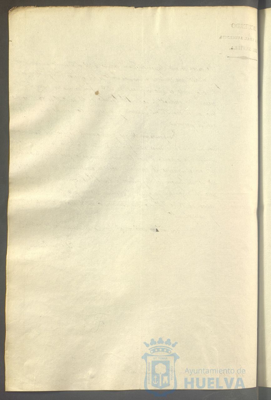 * Image 302