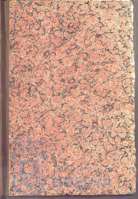 * Image 4