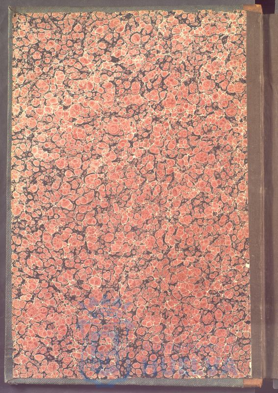 * Image 3