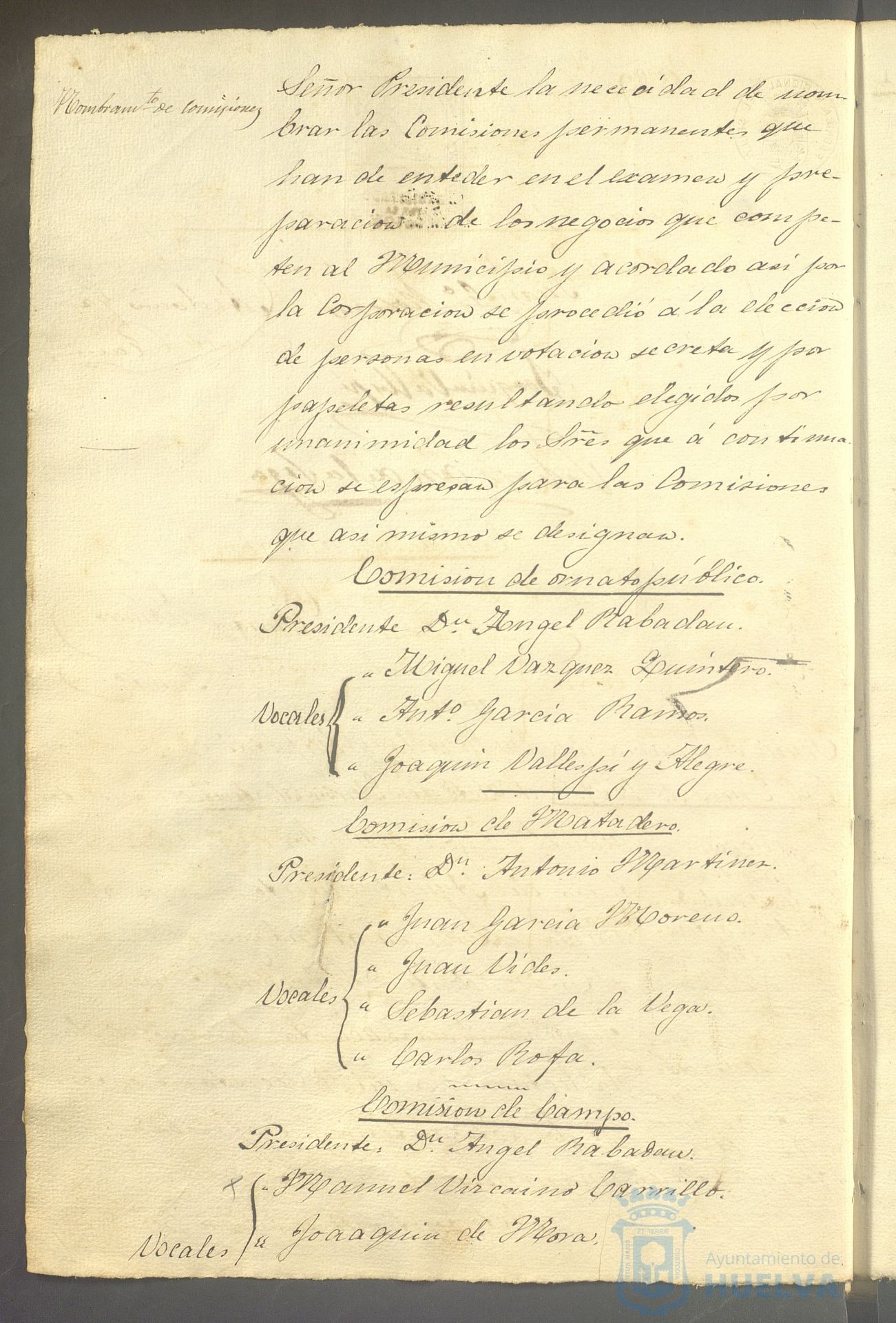 * Image 19
