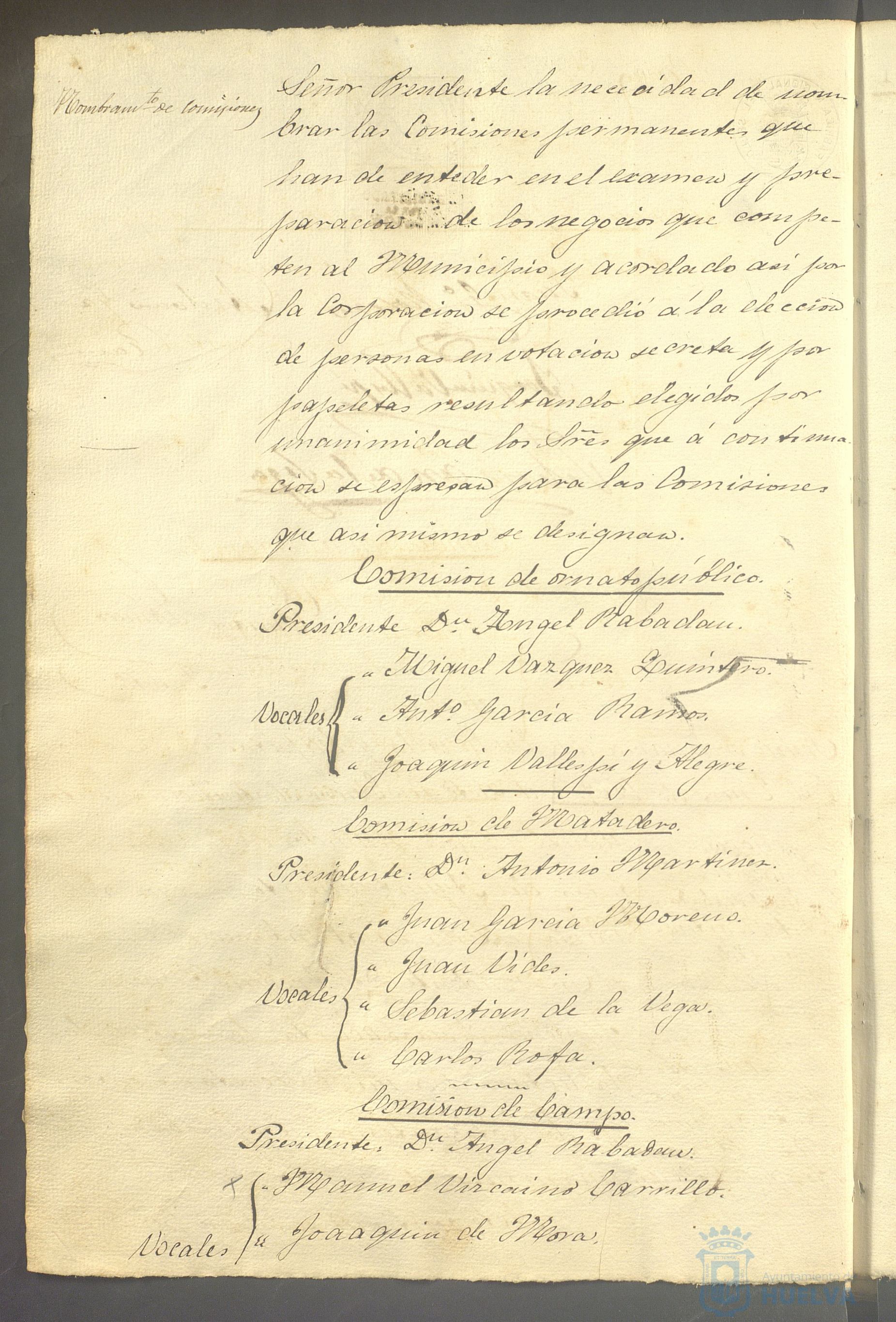* Image 19
