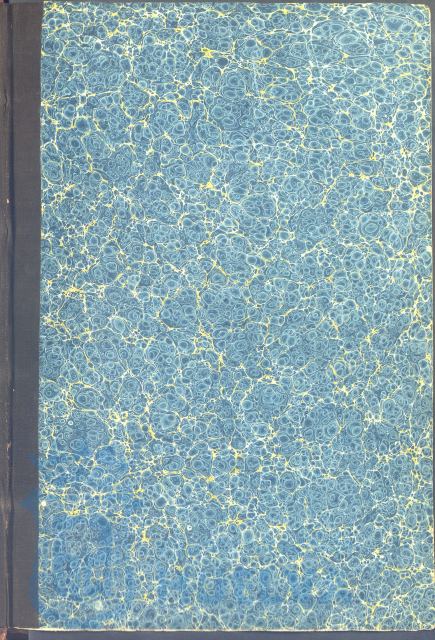 * Image 4
