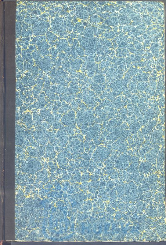 * Image 4